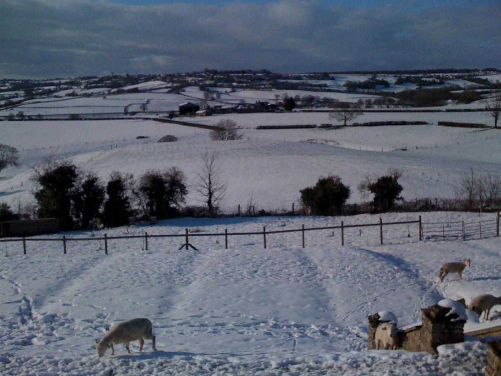 T'S At Lower Rudloe Farm Hostal Corsham Exterior foto